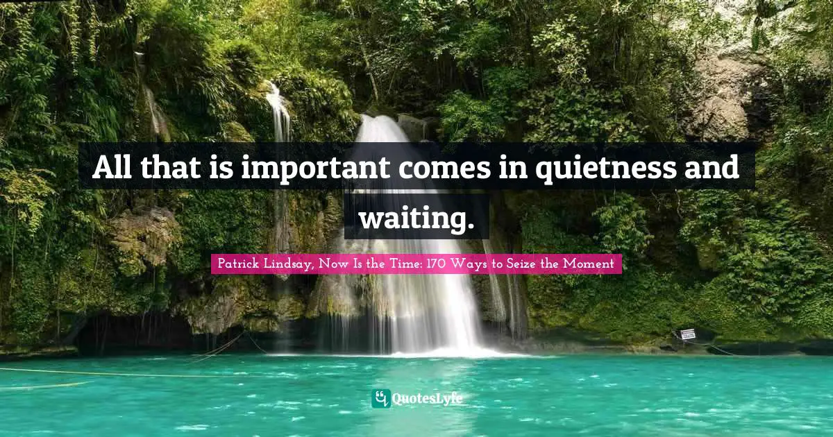 Reflect Quotes: "All that is important comes in quietness and waiting."