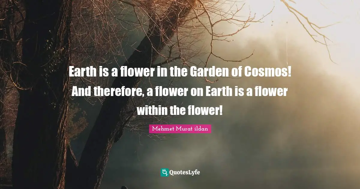 Earth is a flower in the Garden of Cosmos! And therefore, a flower on Earth is a flower within the flower!