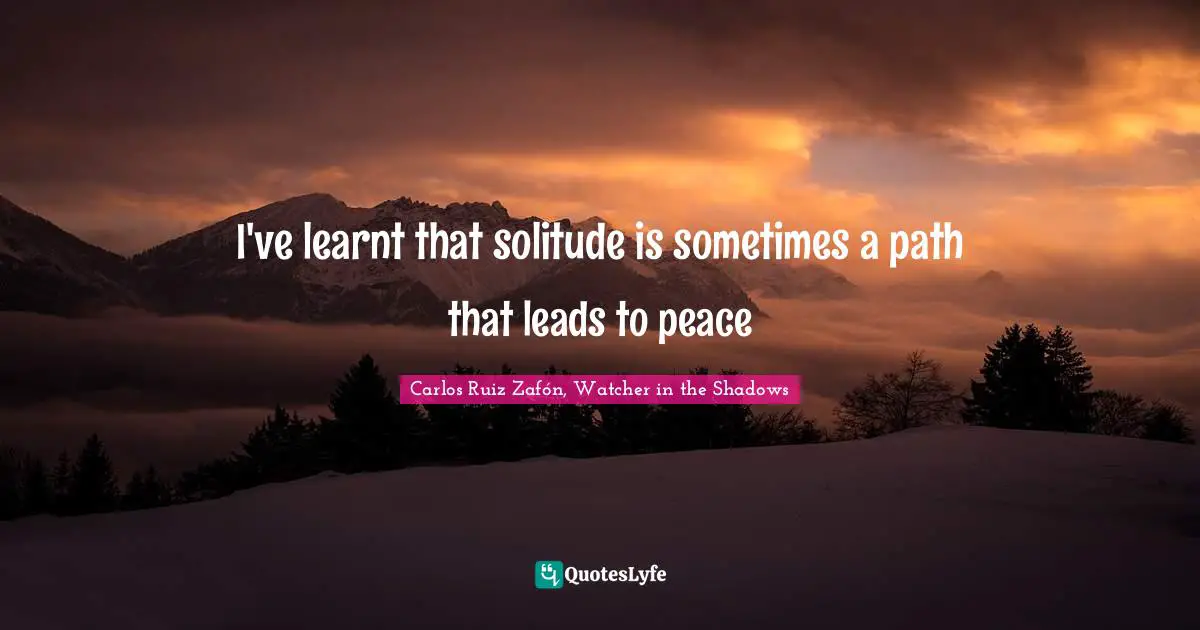 M. Shadows Quotes: "I've learnt that solitude is sometimes a path that leads to peace"