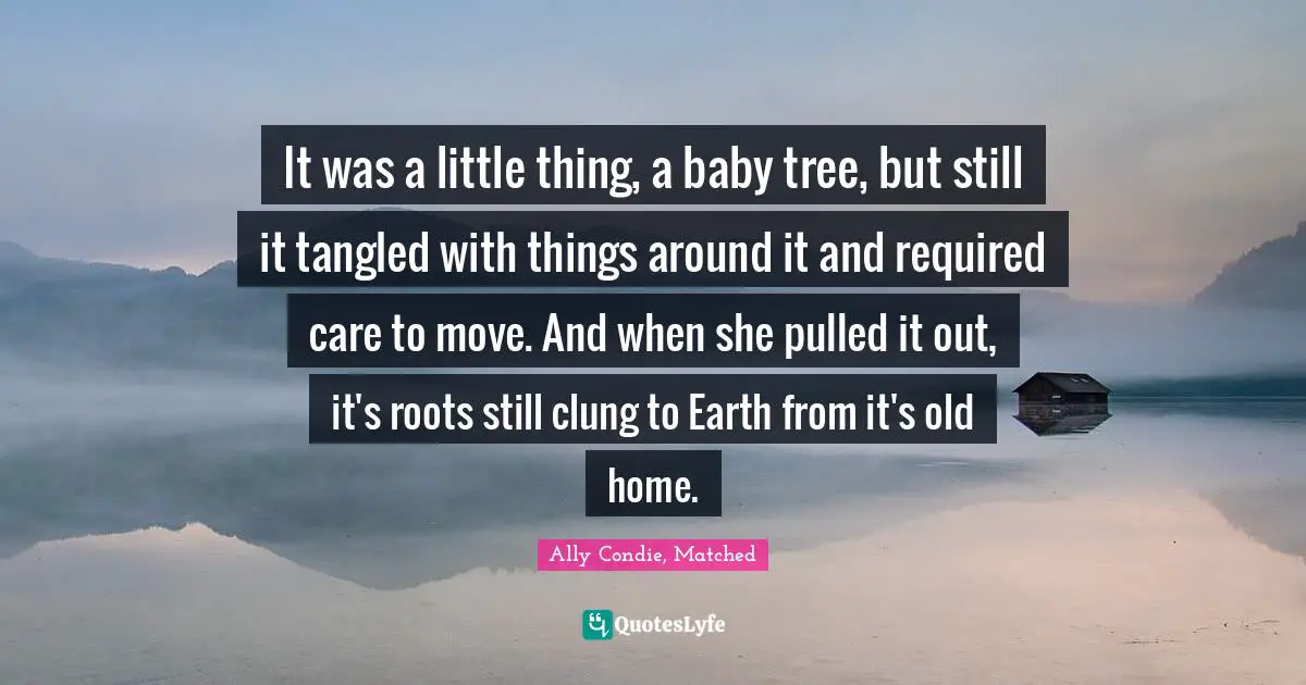 Trilogy Quotes: "It was a little thing, a baby tree, but still it tangled with things around it and required care to move. And when she pulled it out, it's roots still clung to Earth from it's old home."