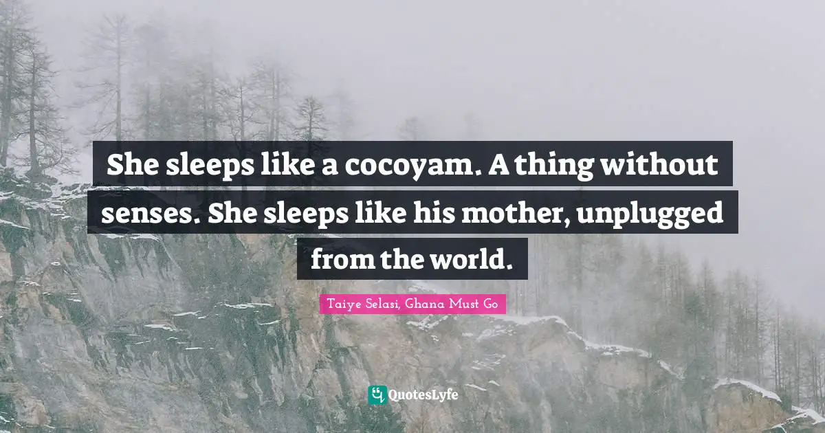 Disconnection Quotes: "She sleeps like a cocoyam. A thing without senses. She sleeps like his mother, unplugged from the world."