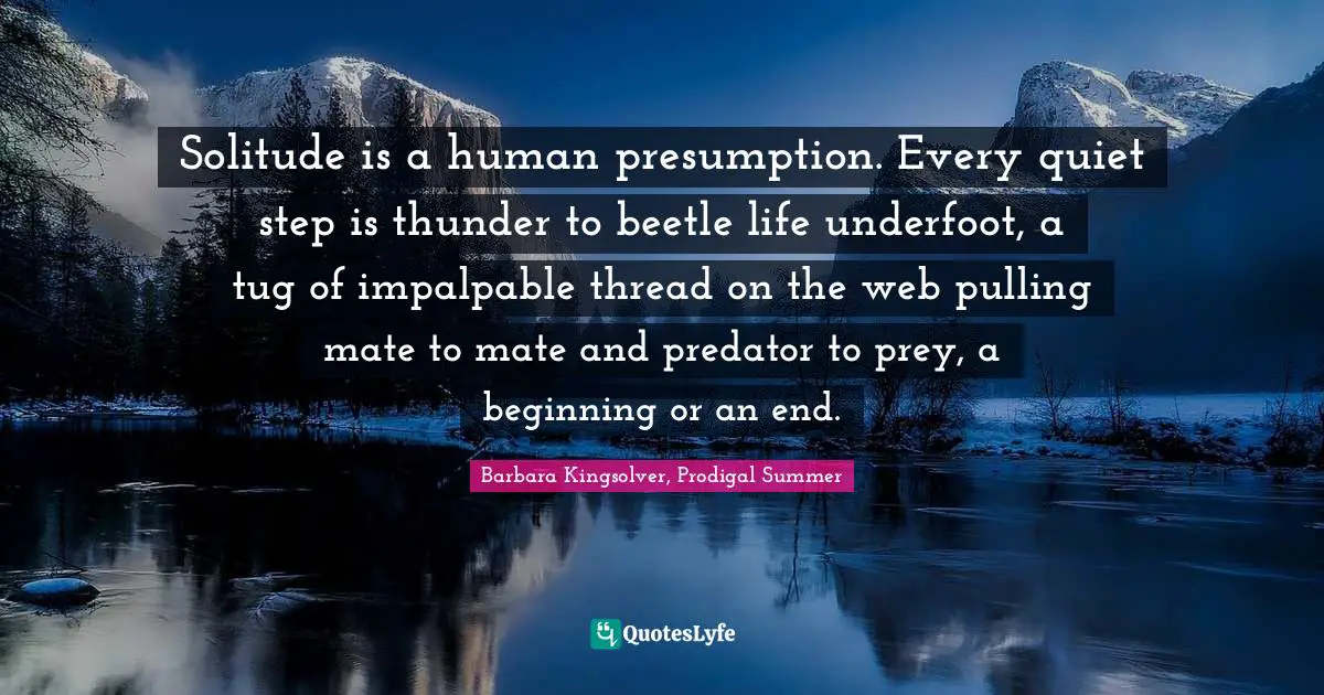 Solitude is a human presumption. Every quiet step is thunder to beetle life underfoot, a tug of impalpable thread on the web pulling mate to mate and predator to prey, a beginning or an end.