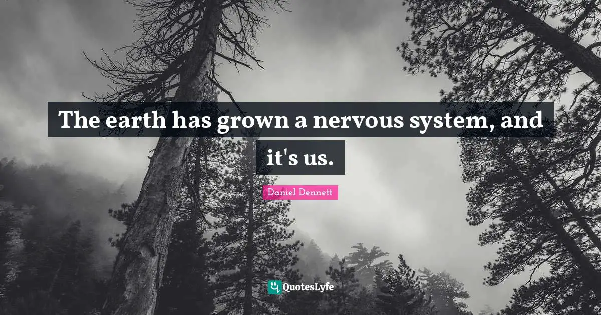The earth has grown a nervous system, and it's us.