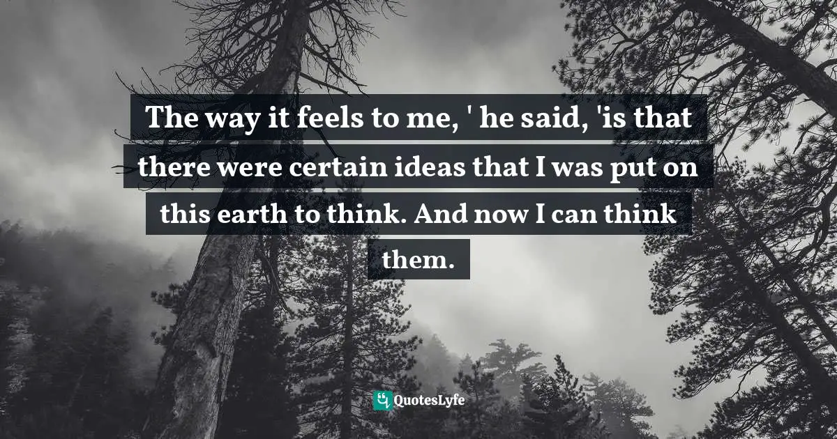 The way it feels to me, ' he said, 'is that there were certain ideas that I was put on this earth to think. And now I can think them.