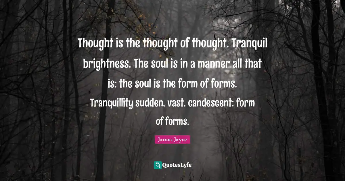 Thought is the thought of thought. Tranquil brightness. The soul is in a manner all that is: the soul is the form of forms. Tranquillity sudden, vast, candescent: form of forms.