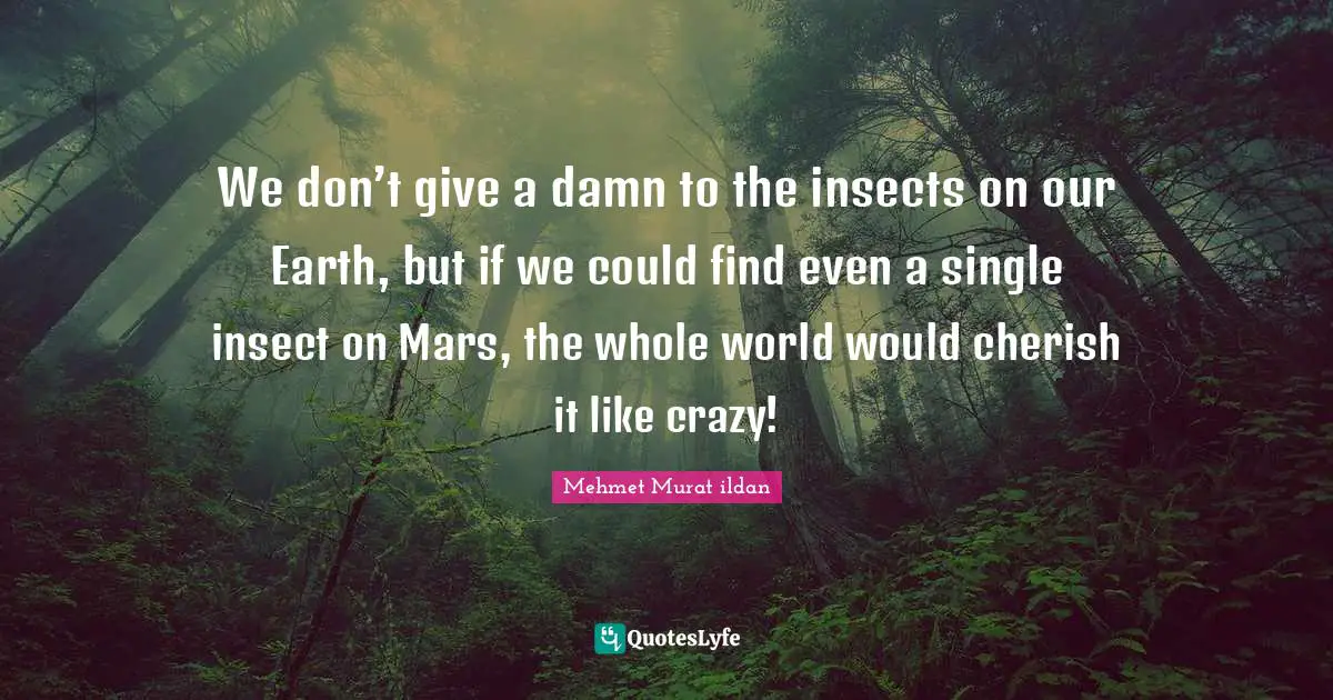 We don’t give a damn to the insects on our Earth, but if we could find even a single insect on Mars, the whole world would cherish it like crazy!