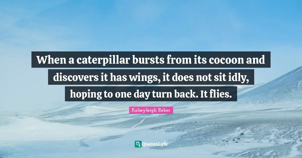 When a caterpillar bursts from its cocoon and discovers it has wings, it does not sit idly, hoping to one day turn back. It flies.