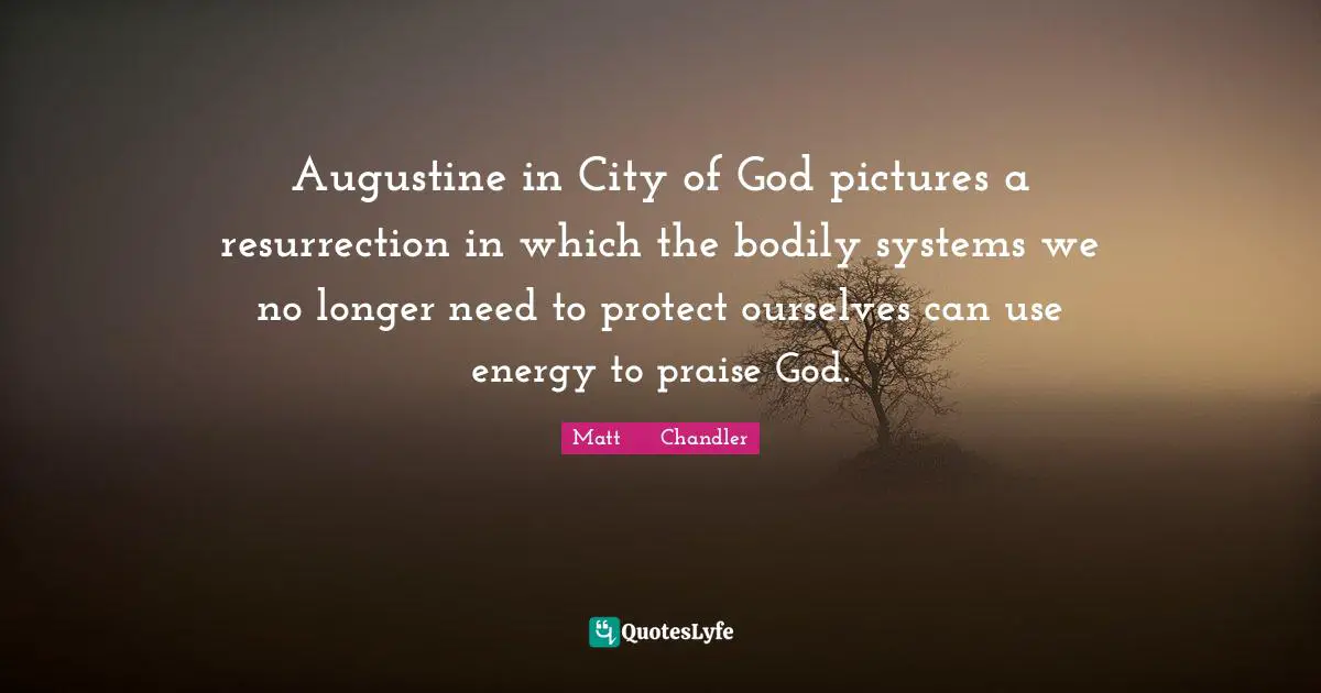 Augustine in City of God pictures a resurrection in which the bodily systems we no longer need to protect ourselves can use energy to praise God.