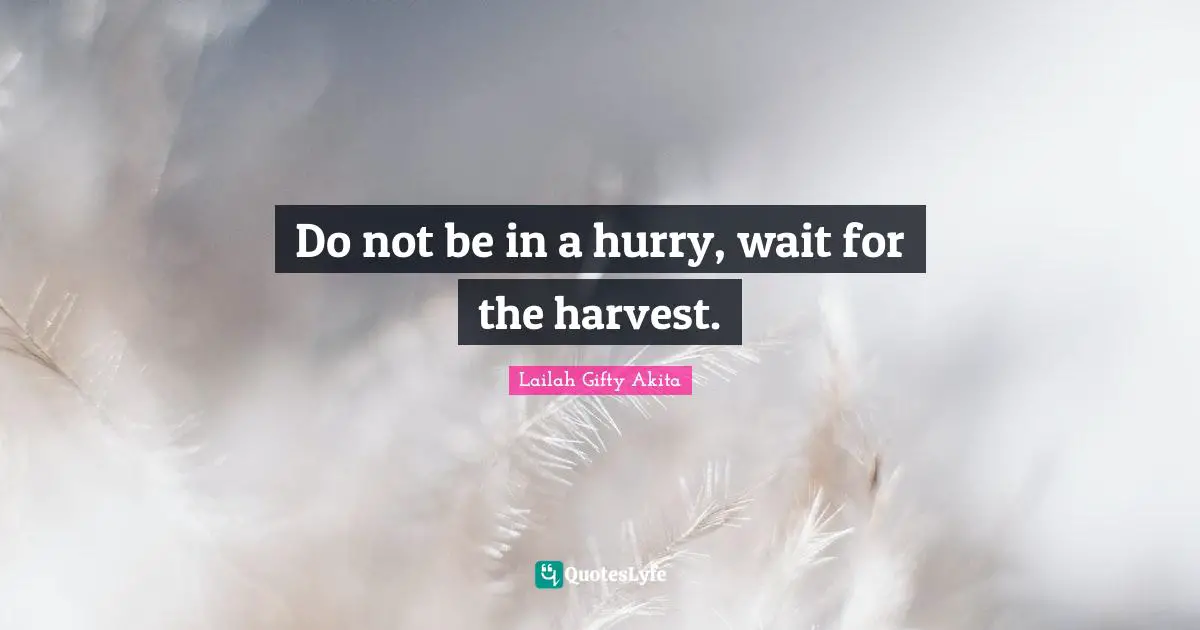Do not be in a hurry, wait for the harvest.