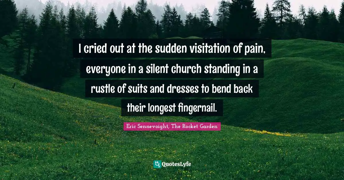 I cried out at the sudden visitation of pain, everyone in a silent church standing in a rustle of suits and dresses to bend back their longest fingernail.