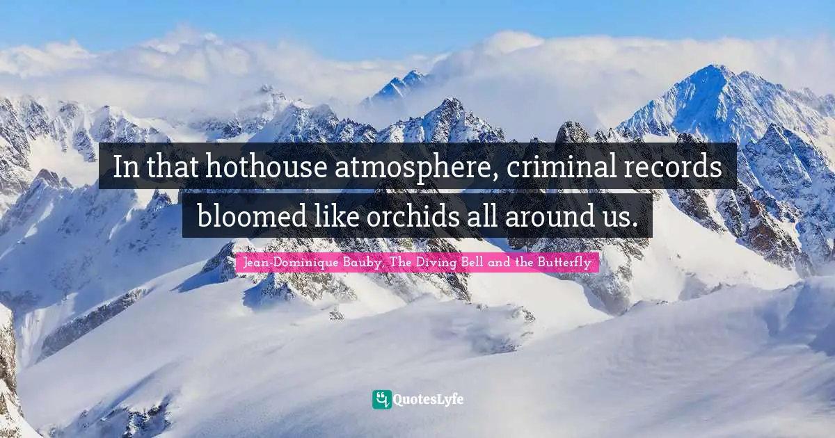 In that hothouse atmosphere, criminal records bloomed like orchids all around us.