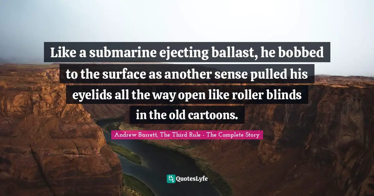 Like a submarine ejecting ballast, he bobbed to the surface as another sense pulled his eyelids all the way open like roller blinds in the old cartoons.