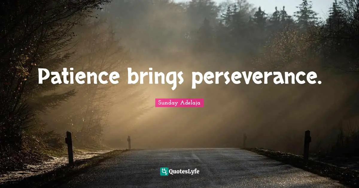 Patience brings perseverance.