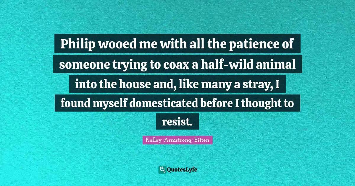 Philip wooed me with all the patience of someone trying to coax a half-wild animal into the house and, like many a stray, I found myself domesticated before I thought to resist.