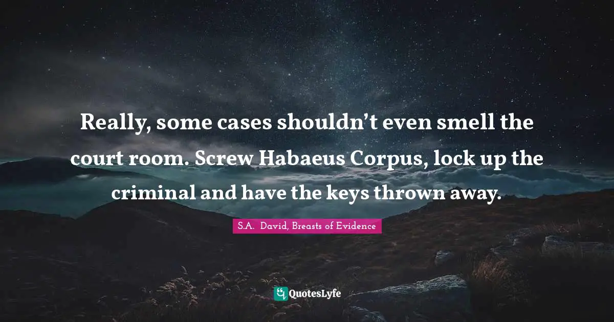 Really, some cases shouldn’t even smell the court room. Screw Habaeus Corpus, lock up the criminal and have the keys thrown away.