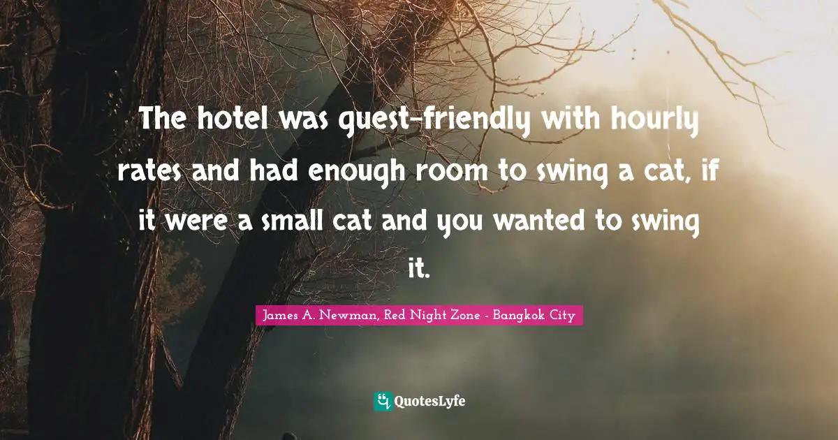 The hotel was guest-friendly with hourly rates and had enough room to swing a cat, if it were a small cat and you wanted to swing it.