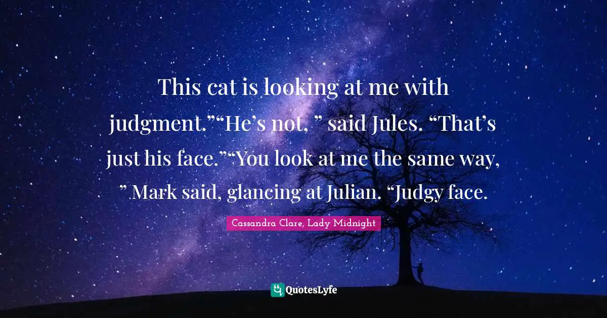 This cat is looking at me with judgment.”“He’s not, ” said Jules. “That’s just his face.”“You look at me the same way, ” Mark said, glancing at Julian. “Judgy face.