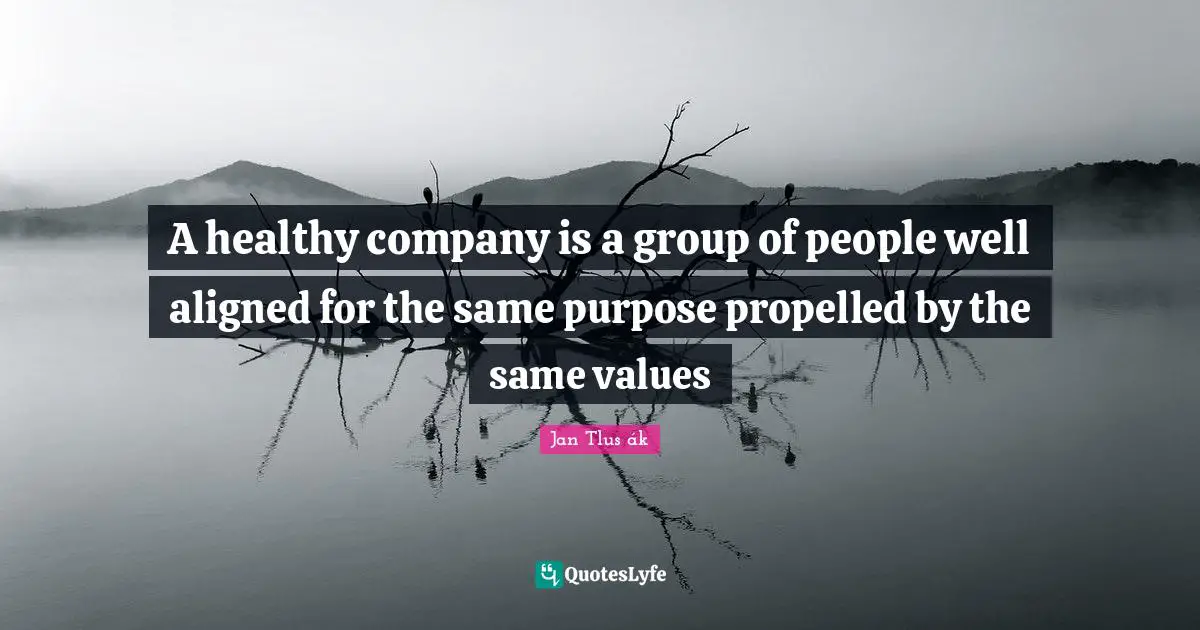 A healthy company is a group of people well aligned for the same purpose propelled by the same values