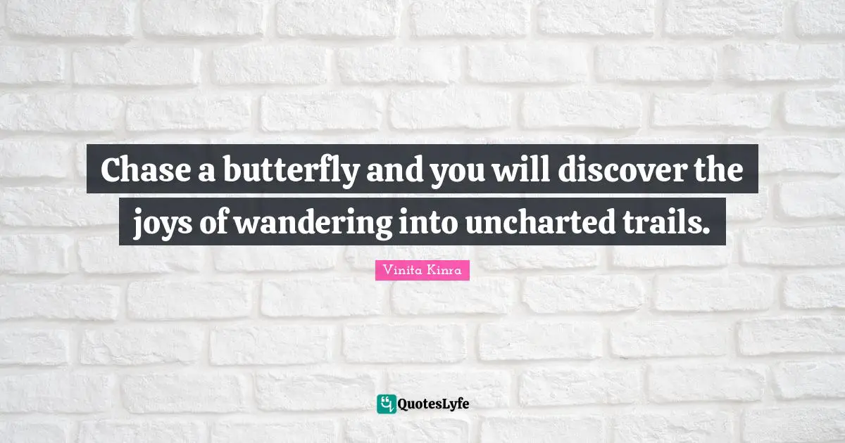 Chase a butterfly and you will discover the joys of wandering into uncharted trails.