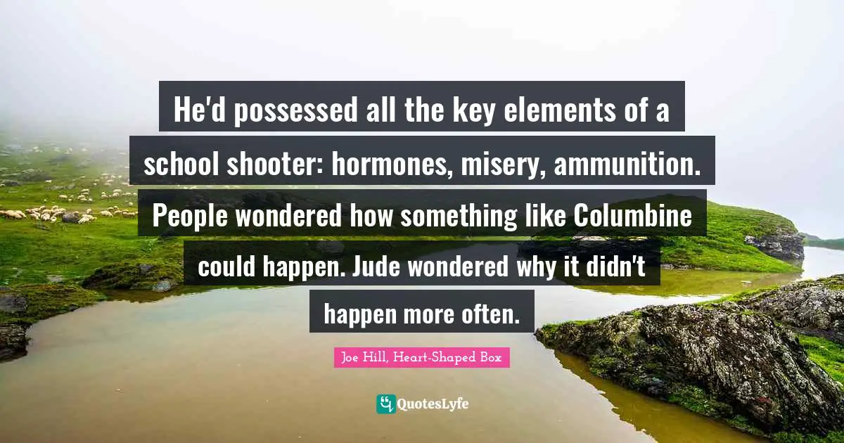 He'd possessed all the key elements of a school shooter: hormones, misery, ammunition. People wondered how something like Columbine could happen. Jude wondered why it didn't happen more often.