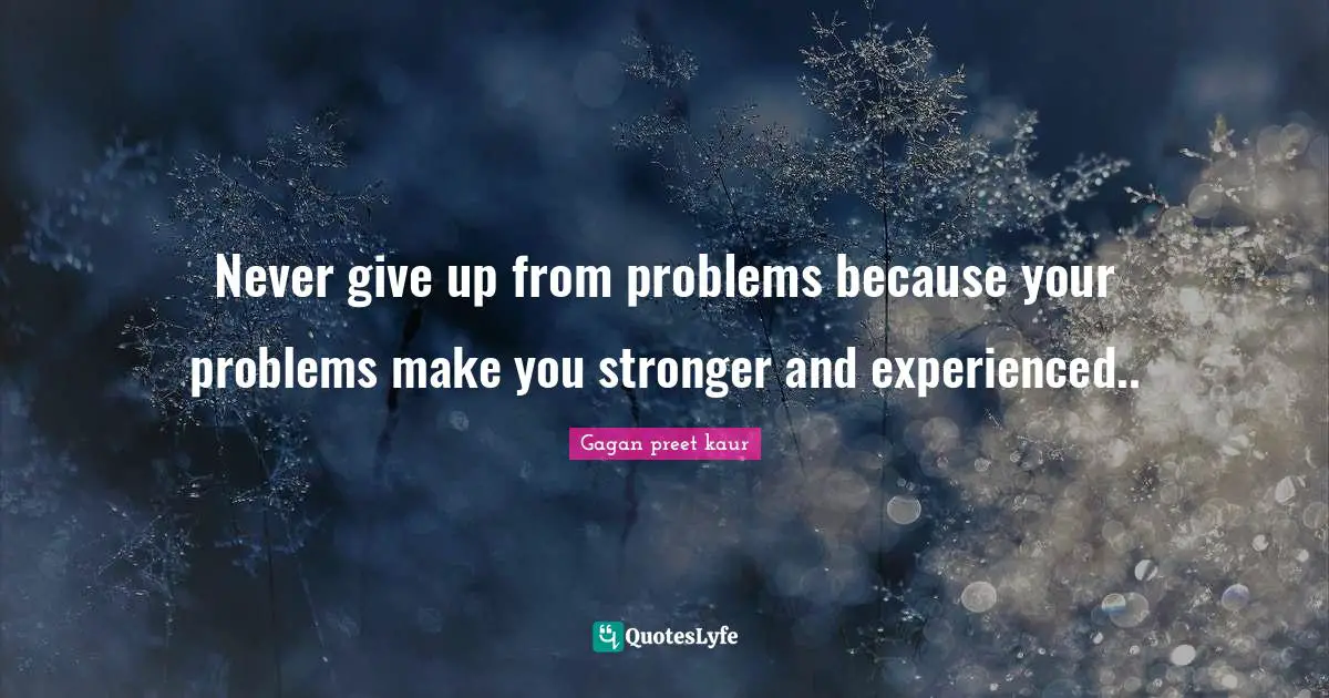 Never give up from problems because your problems make you stronger and experienced..