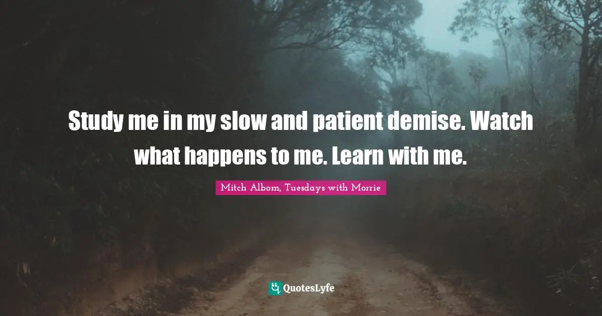Study me in my slow and patient demise. Watch what happens to me. Learn with me.