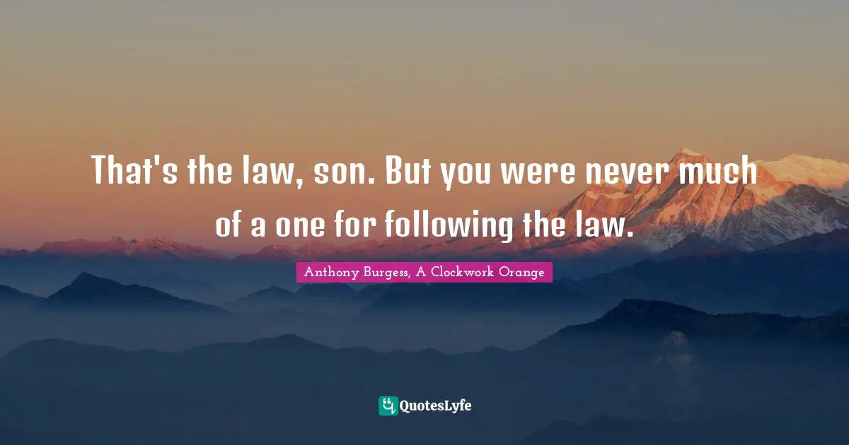 That's the law, son. But you were never much of a one for following the law.