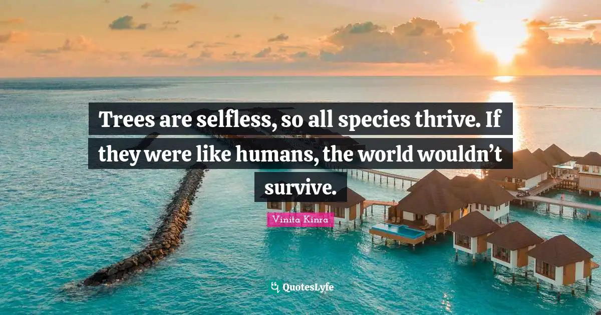 Trees are selfless, so all species thrive. If they were like humans, the world wouldn’t survive.