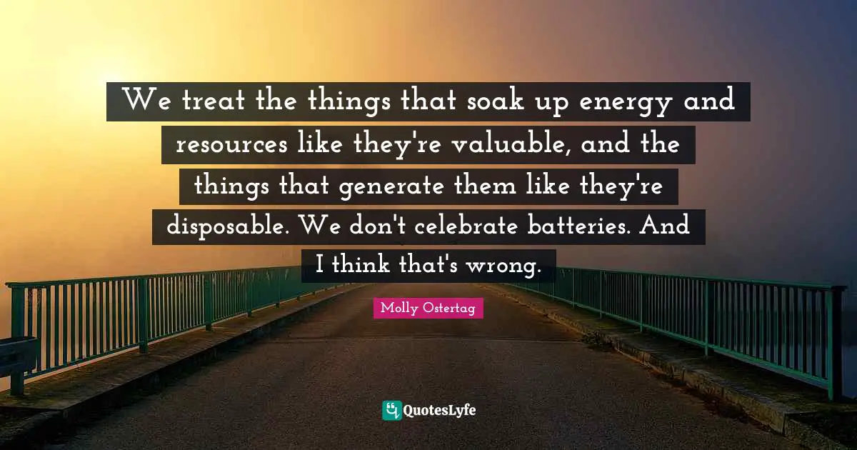 We treat the things that soak up energy and resources like they're valuable, and the things that generate them like they're disposable. We don't celebrate batteries. And I think that's wrong.