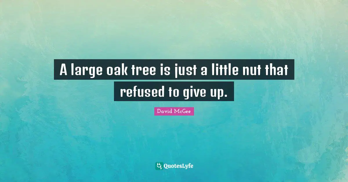 A large oak tree is just a little nut that refused to give up.