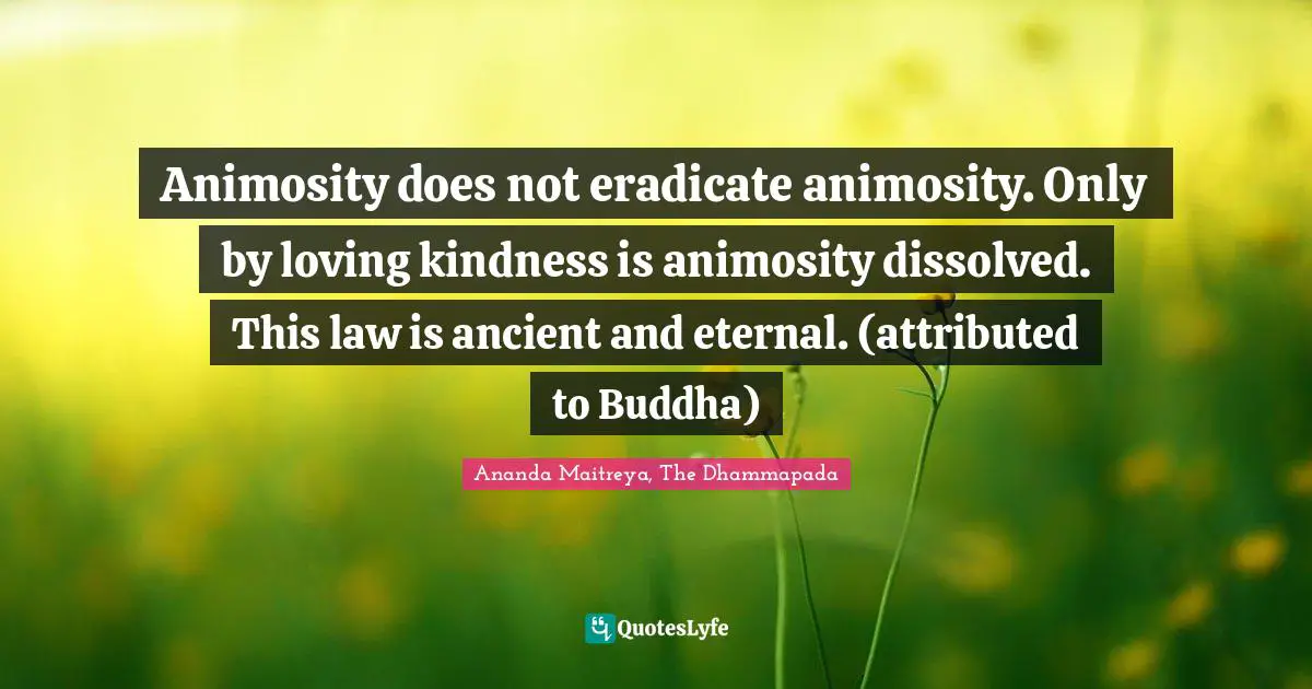 Animosity does not eradicate animosity. Only by loving kindness is animosity dissolved. This law is ancient and eternal. (attributed to Buddha)