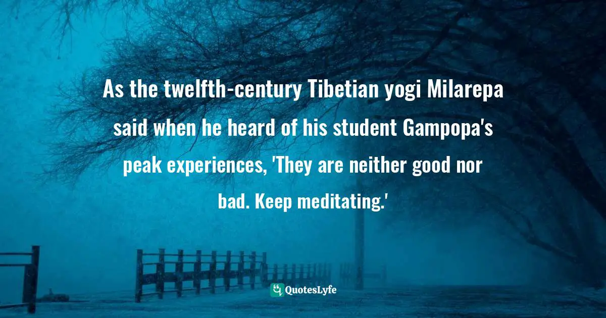 As the twelfth-century Tibetian yogi Milarepa said when he heard of his student Gampopa's peak experiences, 'They are neither good nor bad. Keep meditating.'