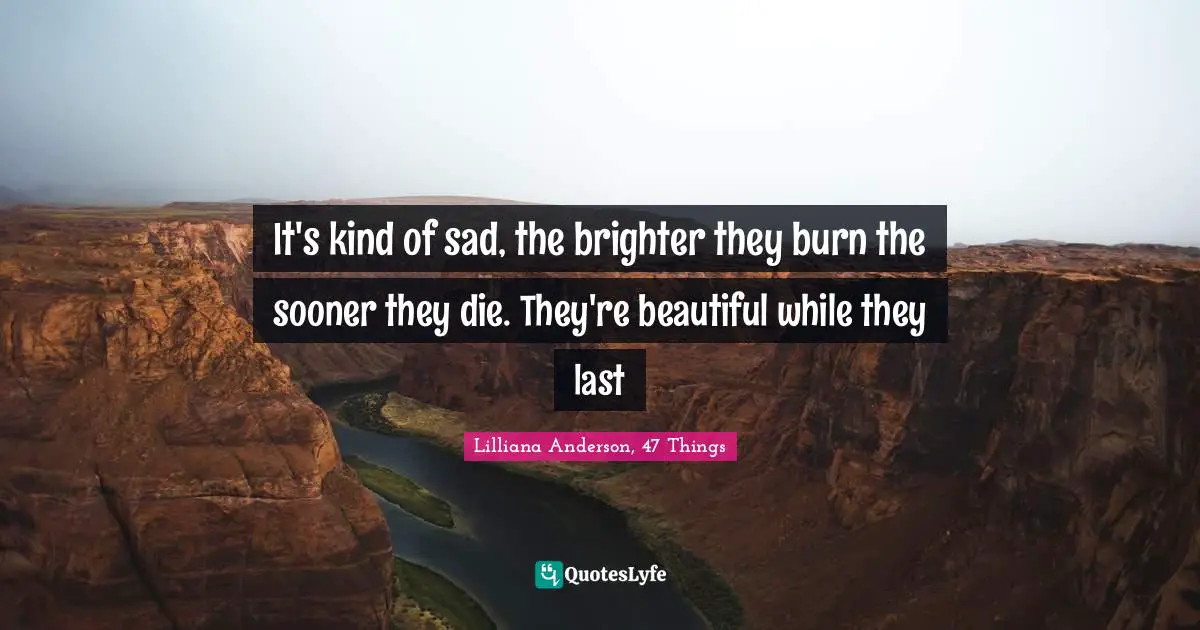 It's kind of sad, the brighter they burn the sooner they die. They're beautiful while they last