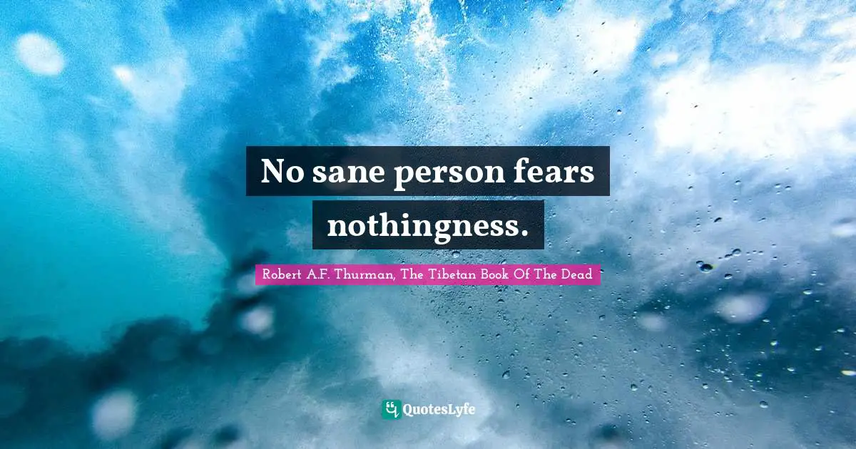Tibet Quotes: "No sane person fears nothingness."
