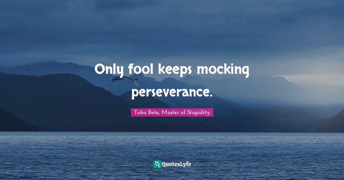 Toba Beta Quotes: "Only fool keeps mocking perseverance."