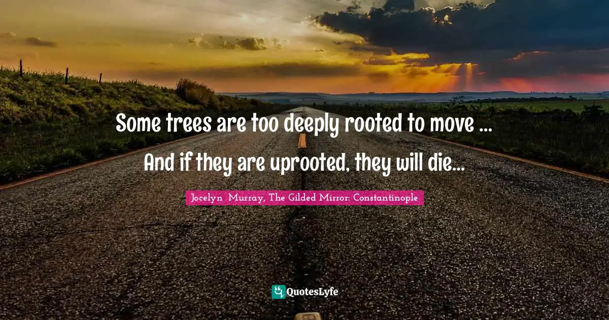 Some trees are too deeply rooted to move … And if they are uprooted, they will die…