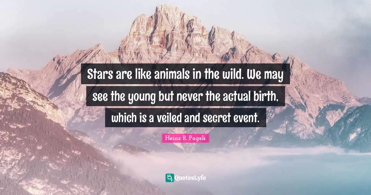 Stars are like animals in the wild. We may see the young but never the actual birth, which is a veiled and secret event.