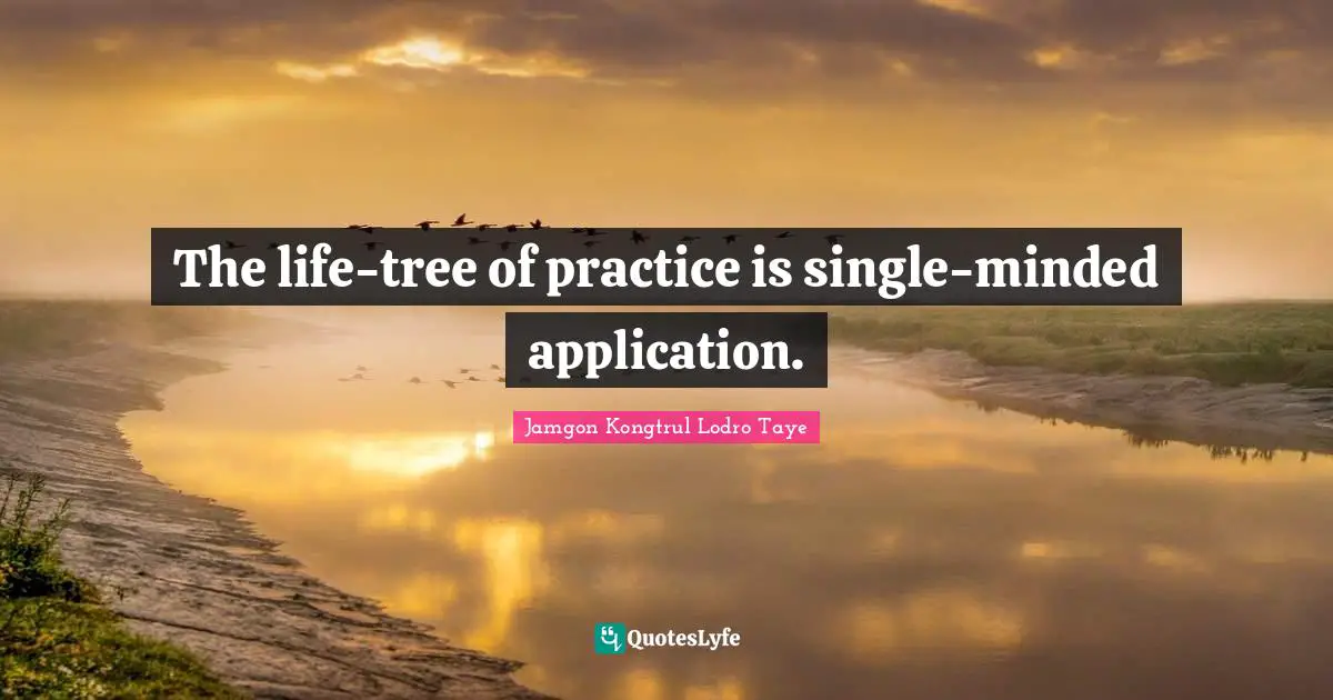 The life-tree of practice is single-minded application.