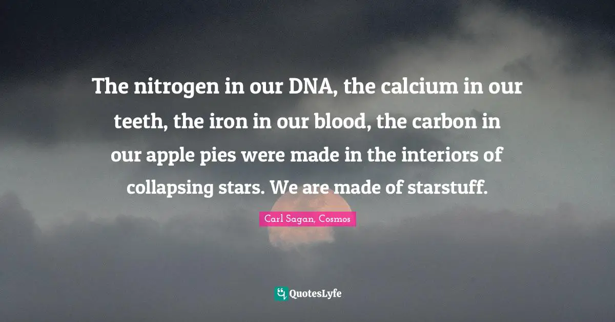 Stars Quotes: "The nitrogen in our DNA, the calcium in our teeth, the iron in our blood, the carbon in our apple pies were made in the interiors of collapsing stars. We are made of starstuff."