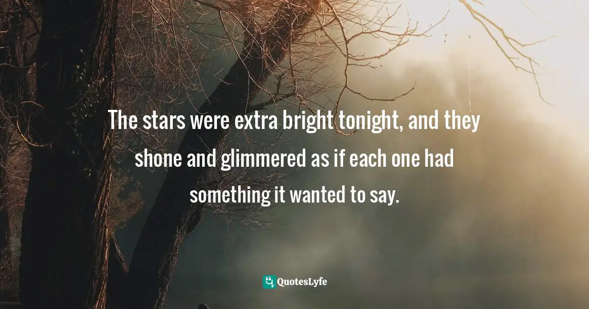 The stars were extra bright tonight, and they shone and glimmered as if each one had something it wanted to say.