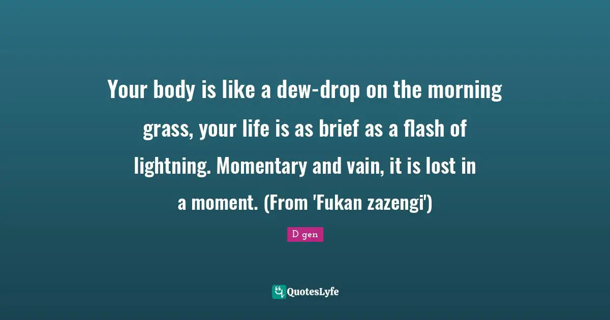 Your body is like a dew-drop on the morning grass, your life is as brief as a flash of lightning. Momentary and vain, it is lost in a moment. (From 'Fukan zazengi')