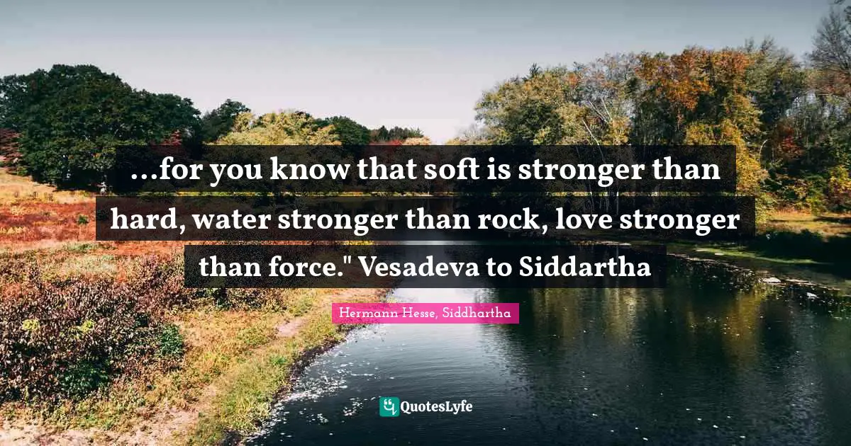 Monasticism Quotes: "...for you know that soft is stronger than hard, water stronger than rock, love stronger than force." Vesadeva to Siddartha"
