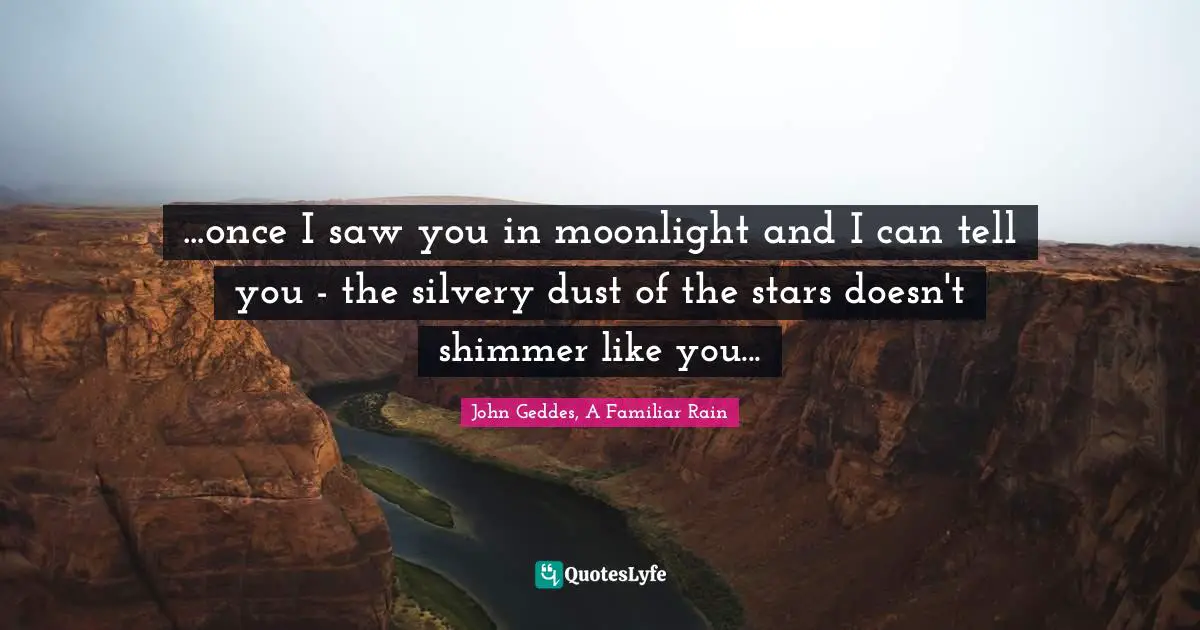 John Geddes, A Familiar Rain Quotes: "...once I saw you in moonlight and I can tell you - the silvery dust of the stars doesn't shimmer like you..."