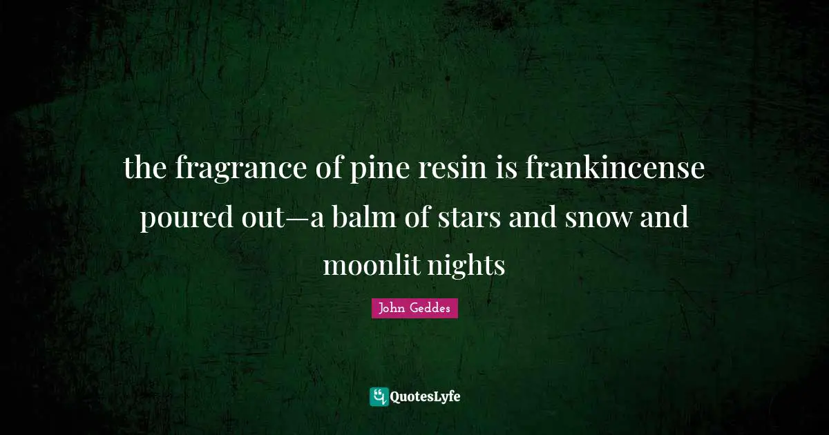 the fragrance of pine resin is frankincense poured out—a balm of stars and snow and moonlit nights