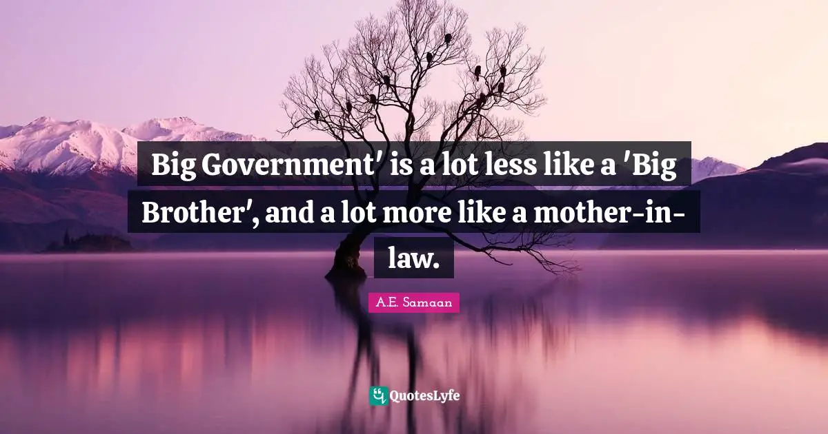 Collectivism Quotes: "Big Government' is a lot less like a 'Big Brother', and a lot more like a mother-in-law."