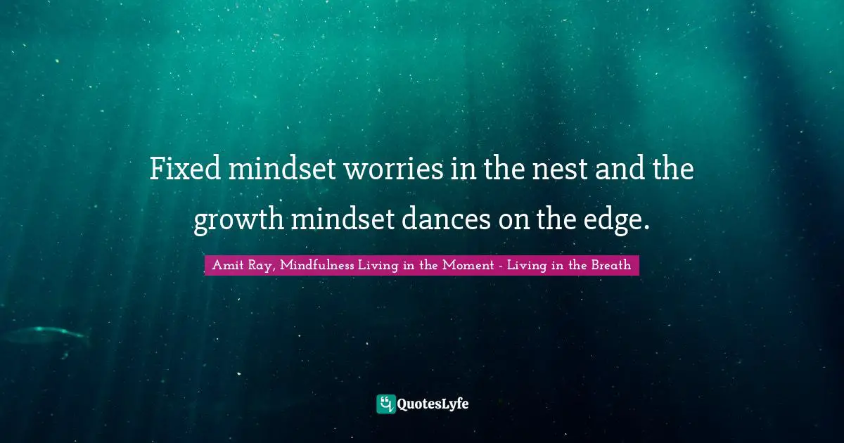 Amit Ray, Mindfulness Living In The Moment - Living In The Breath Quotes: "Fixed mindset worries in the nest and the growth mindset dances on the edge."