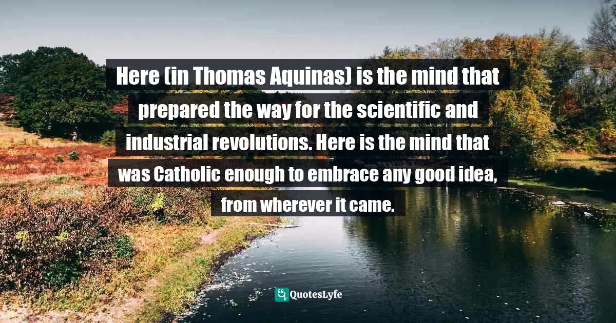 Here (in Thomas Aquinas) is the mind that prepared the way for the scientific and industrial revolutions. Here is the mind that was Catholic enough to embrace any good idea, from wherever it came.