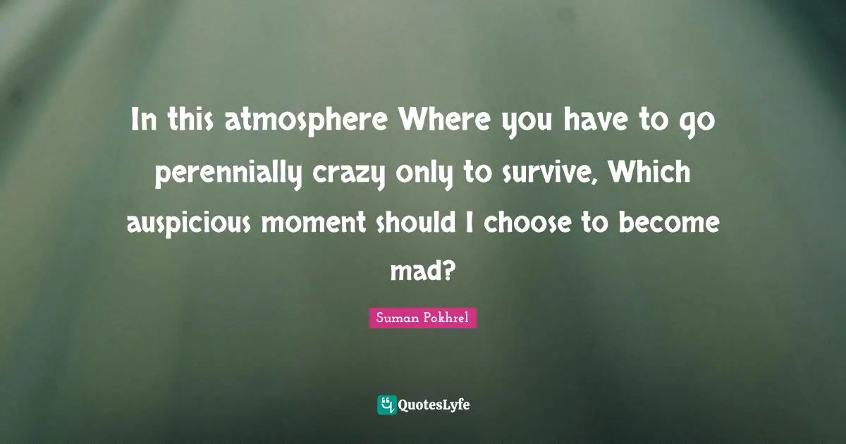In this atmosphere Where you have to go perennially crazy only to survive, Which auspicious moment should I choose to become mad?