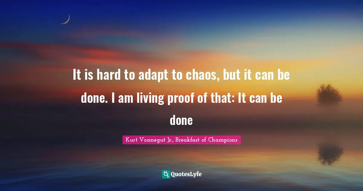 It is hard to adapt to chaos, but it can be done. I am living proof of that: It can be done