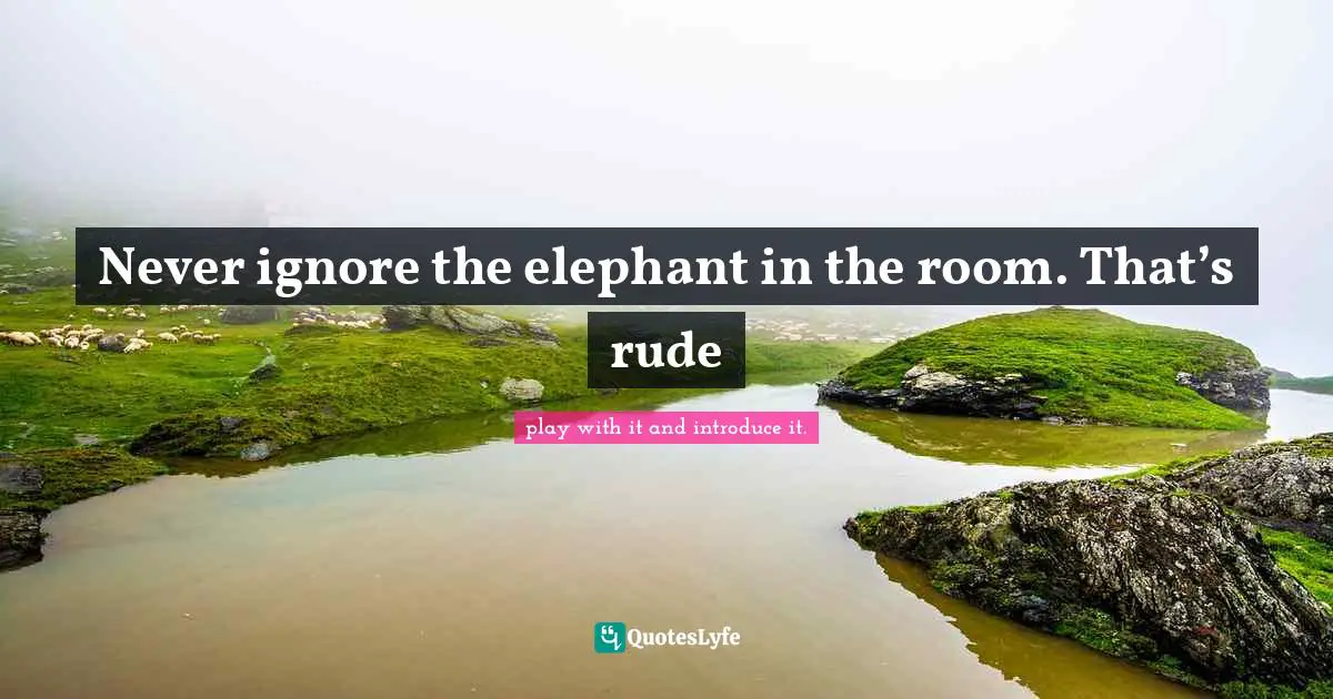 Never ignore the elephant in the room. That’s rude